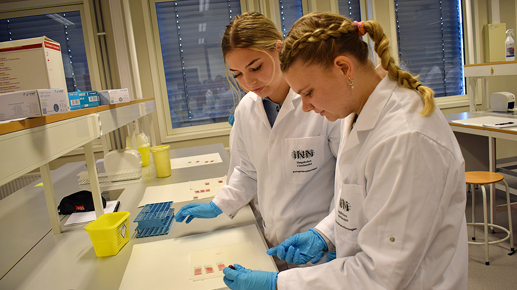 To bioingeniør-studenter som jobber i et laboratorium. 
