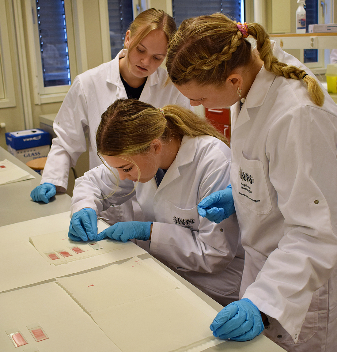 Tre kvinnelige studenter som jobber på et laboratorium. 
