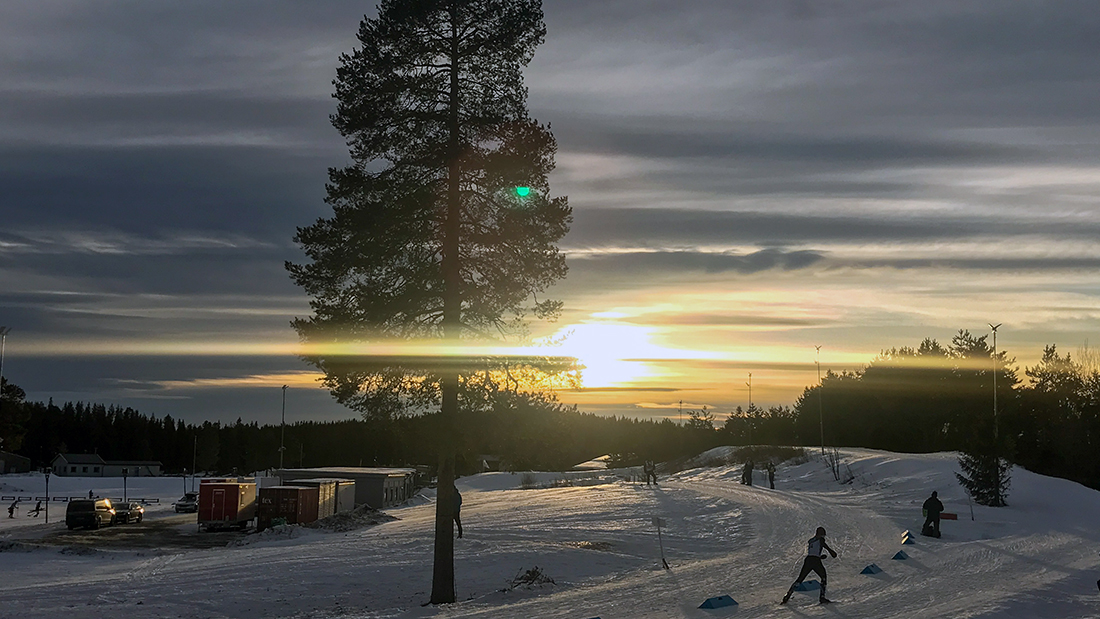 Langrennsutøver i aksjon i skogen. 