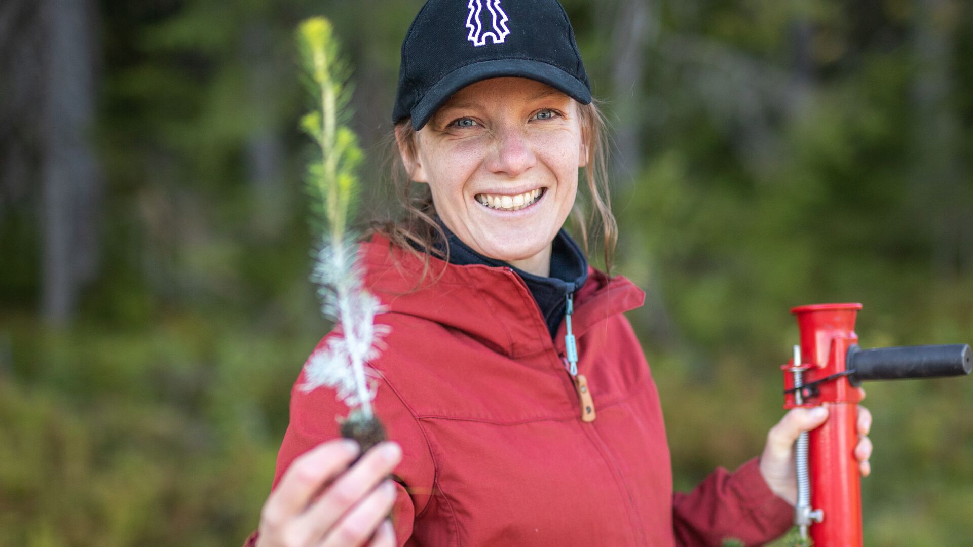 Silje Ludvigsen er ute i skogen, holder opp en skogplante og utstyr.