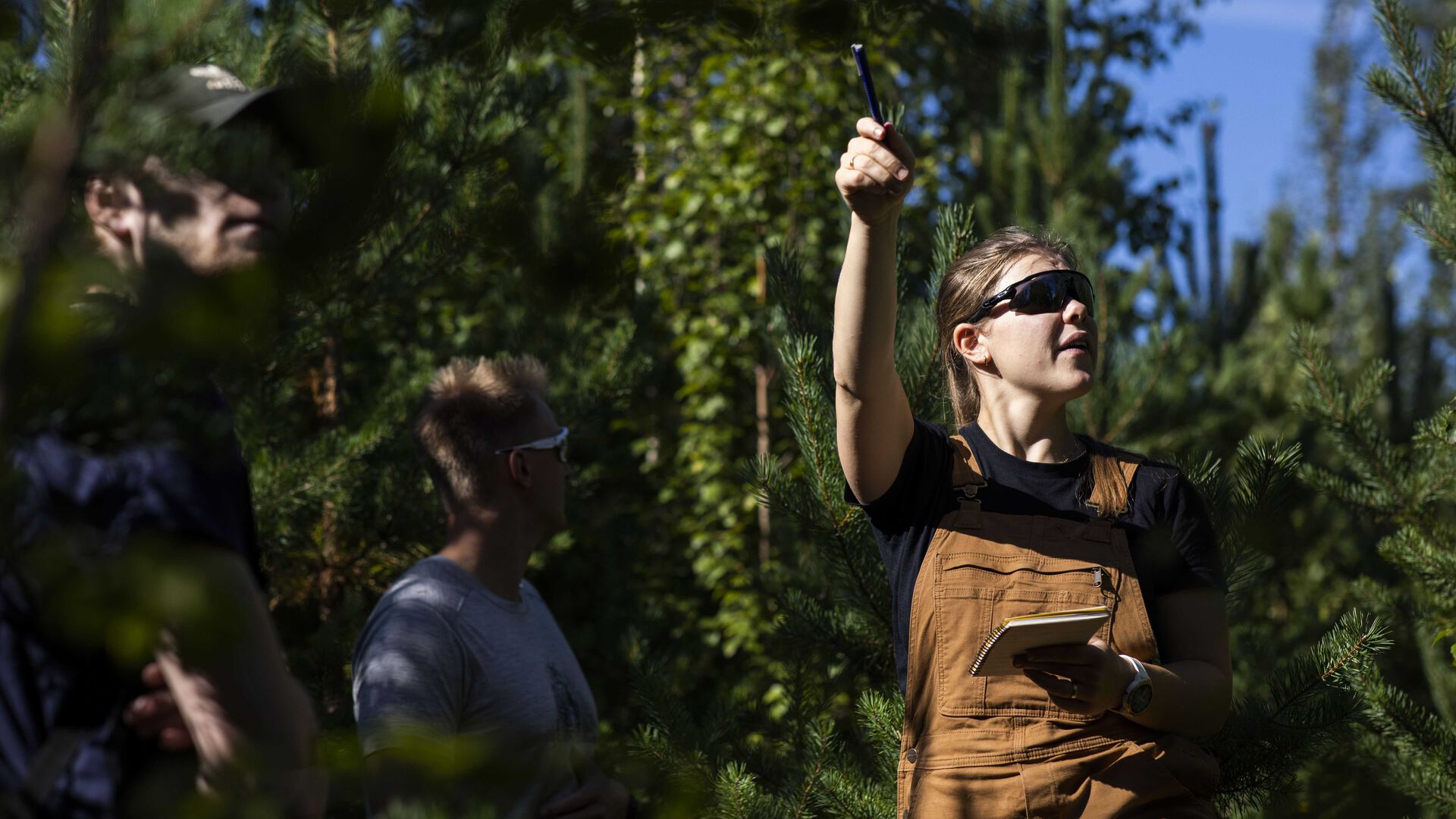 Ganske tett på tre mennesker i skogen som peker og ser oppover. Sol og blå himmel.