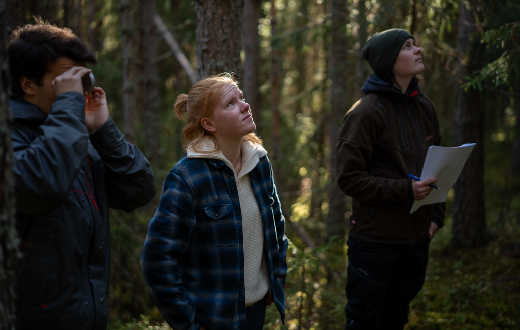 Caroline and two male students are participating in a lecture in the forest