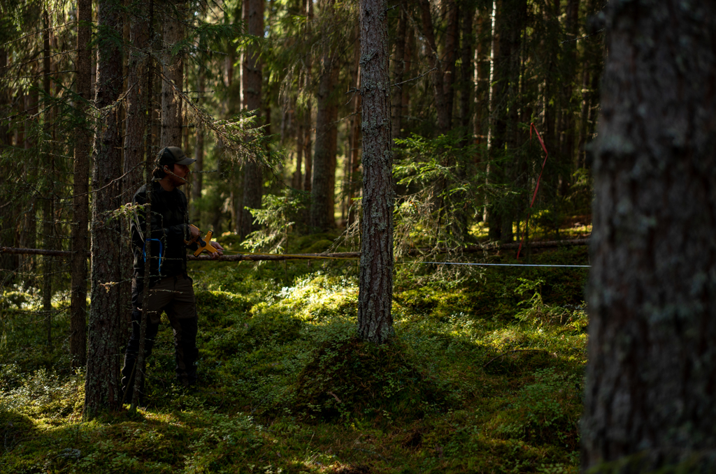 A man is working with measuring equipment in a dark forest