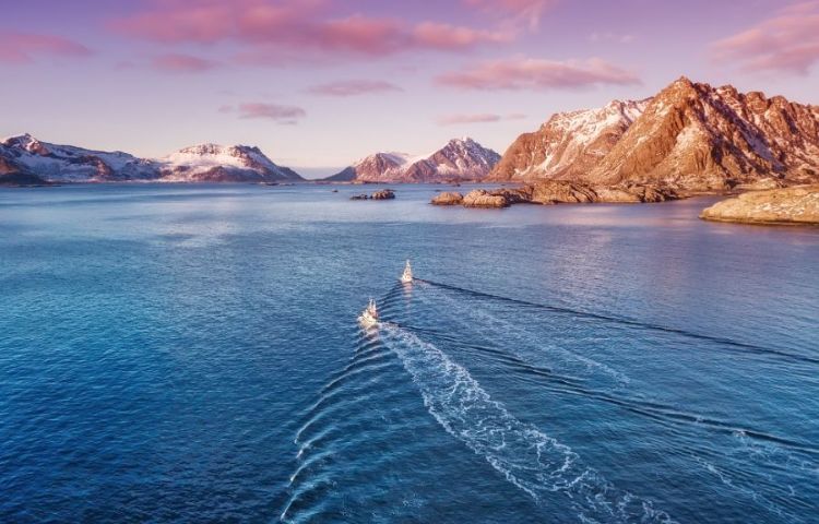 Bilde av fjordlandskap med fiskebåter i Lofoten