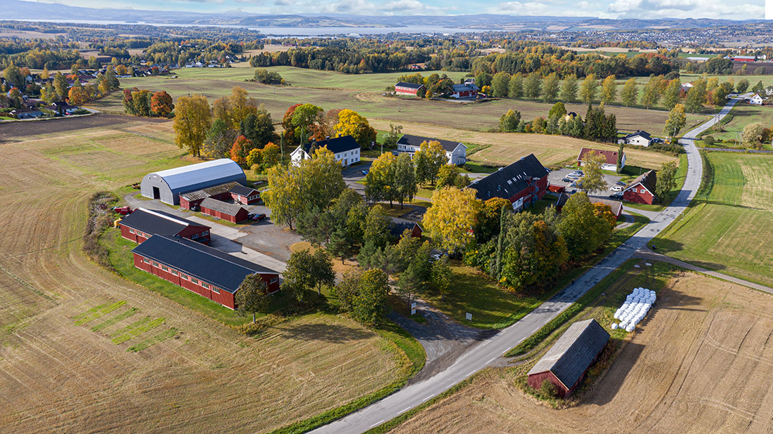 Dronefoto av studiested Blæstad. 