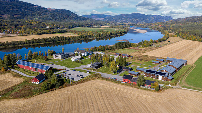 Dronebilete av studiestad Evenstad