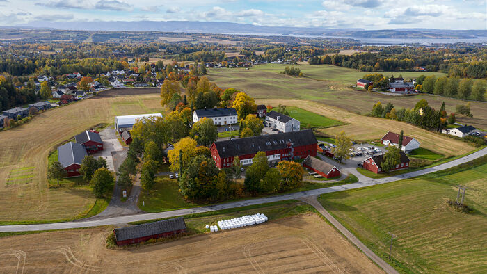 Dronefoto studiestad Blæstad