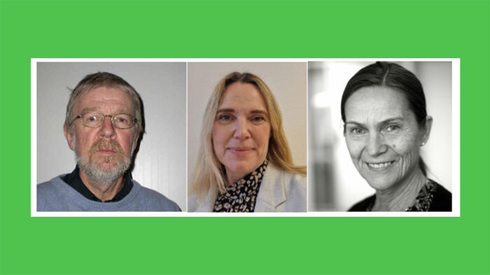 Collage av Ole Petter Askheim, Hanne Glemmestad og Grethe Netland