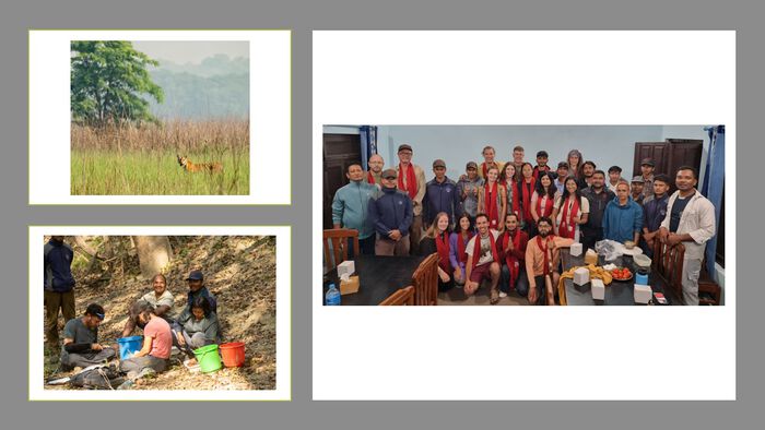 Three pictures from Nepalese nature and people