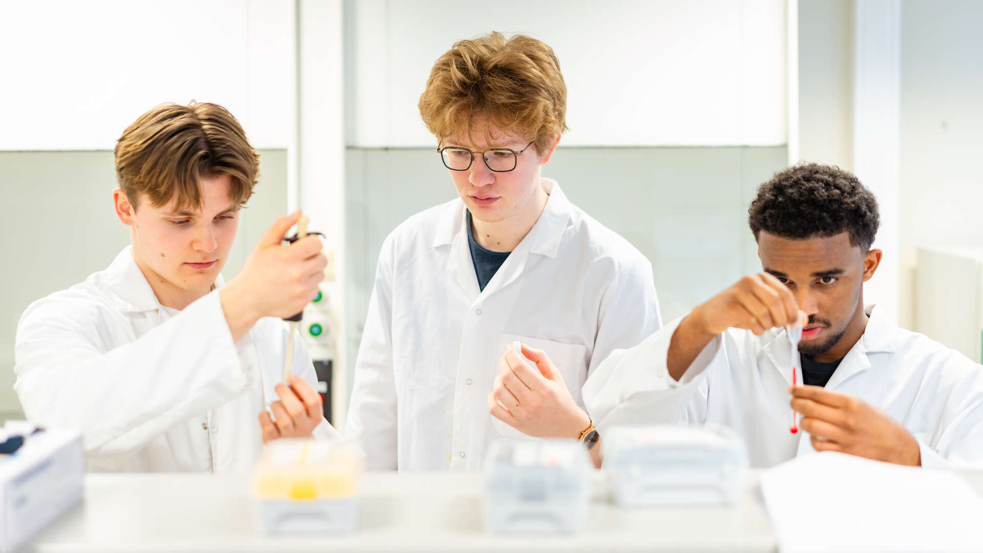 Three male students are working in a lab