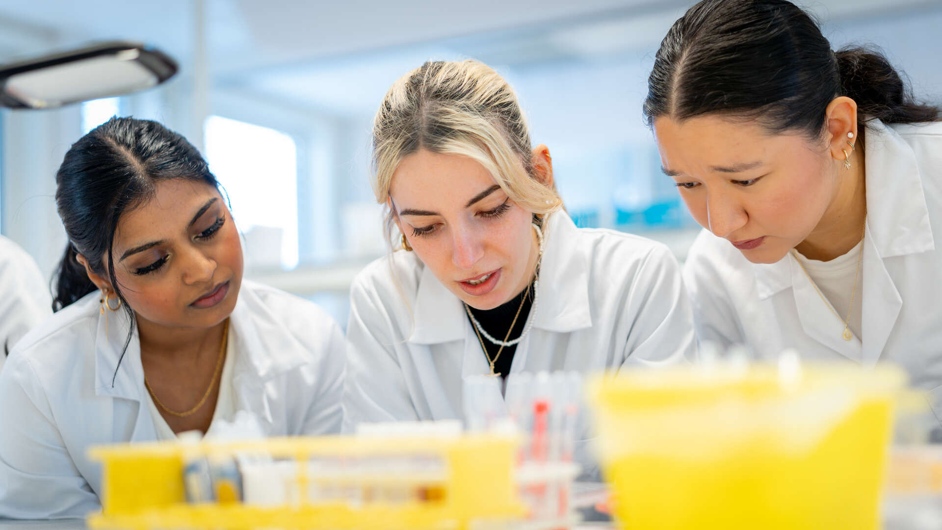 Three female students are working in a lab