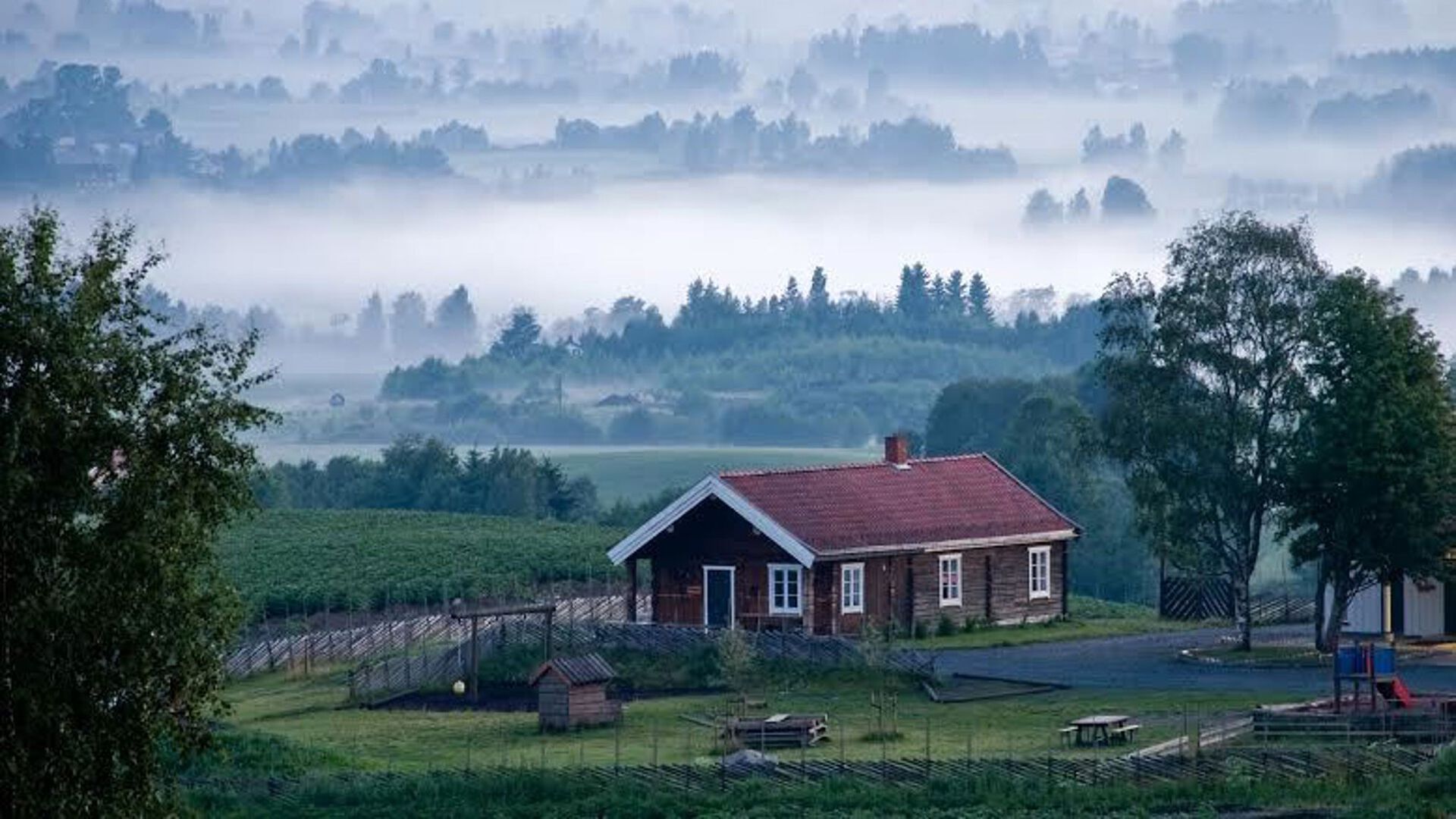 Picture of Flekkenga with a cabin in the misty forest