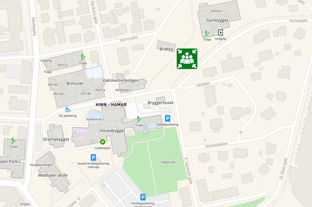 The picture shows the assembly point at Hamar.