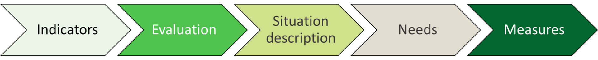 The process of the programme of study coordinator'w report