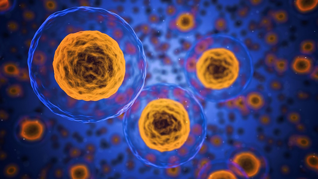 Cells. Photo: Pixaby/NFR