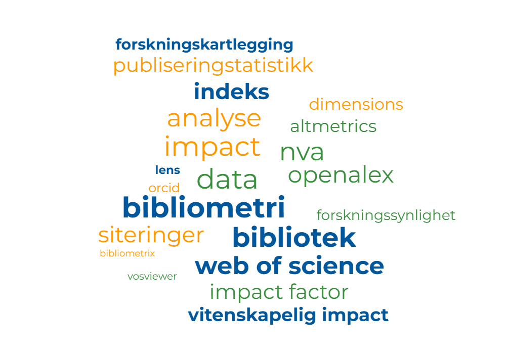 word cloud about bibliomtric