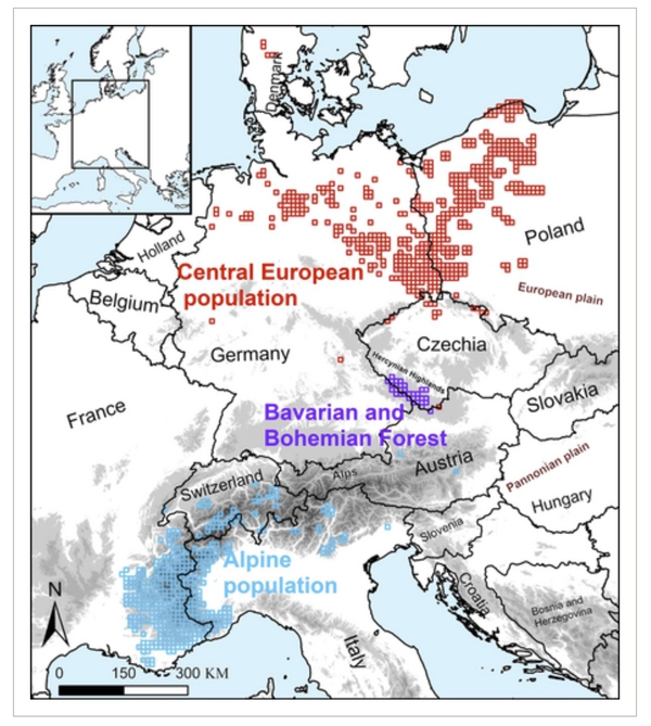 Map with wolf distribution