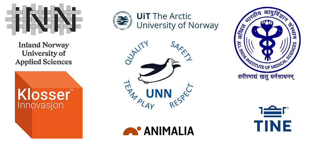 Logos representing the partners