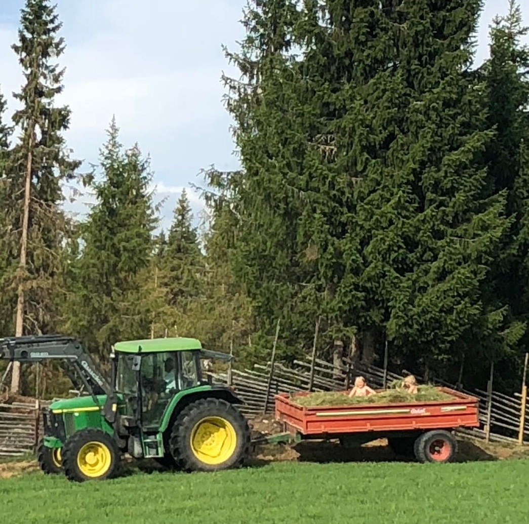 tractor with trailer filled with hey and to kids on top