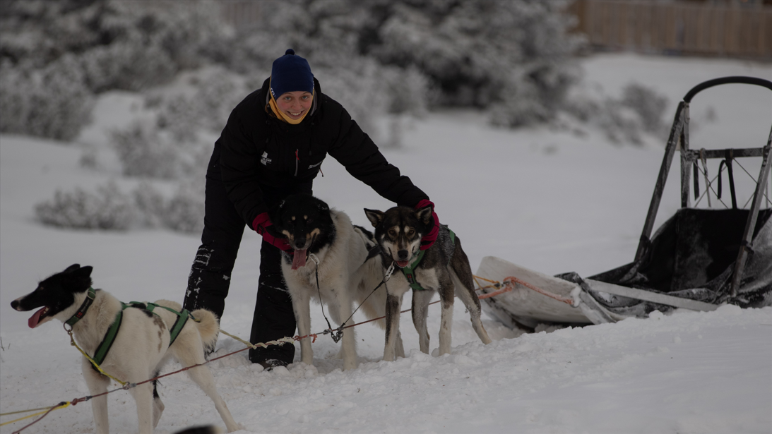 Julia cuddling with huskey's during an husky-tour experience in winter
