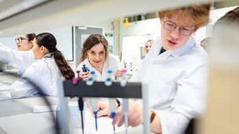 Each year, the universities in the network organise a week-long BIP. As the programmes take place at the same time, the partner institutions are able to send students to each other in parallel.