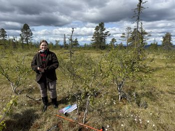 Siri Graff conducting vegetation mapping and marsh depth measurements in Stenfjellia, Hamar Municipality.