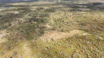 Drone image of the marsh landscape.