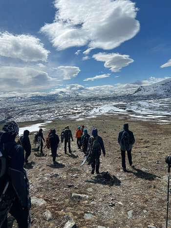 The students are searching for the muskox at Dovrefjell.