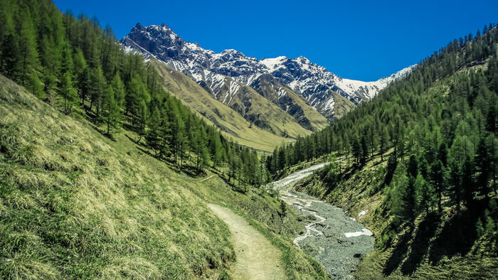 Naturfoto fra Swiss National Park