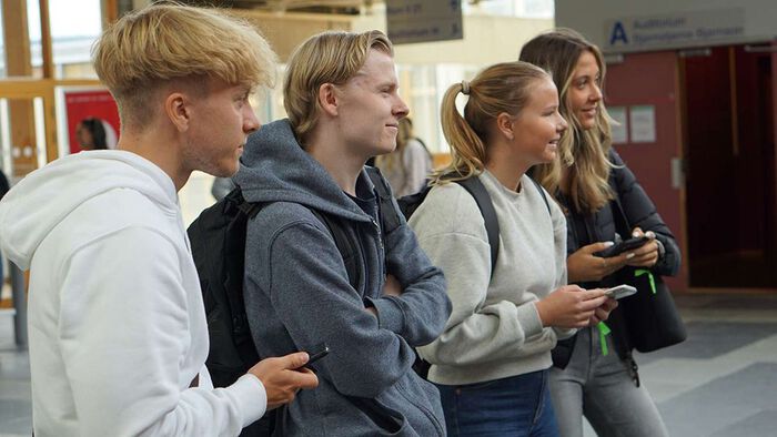 Det skal velges studentrepresentanter for disse studentene og alle andre studenter ved HINN.