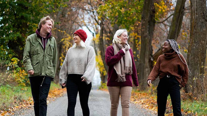Studentene ved HINN skal velge studenter som skal representere dem. 