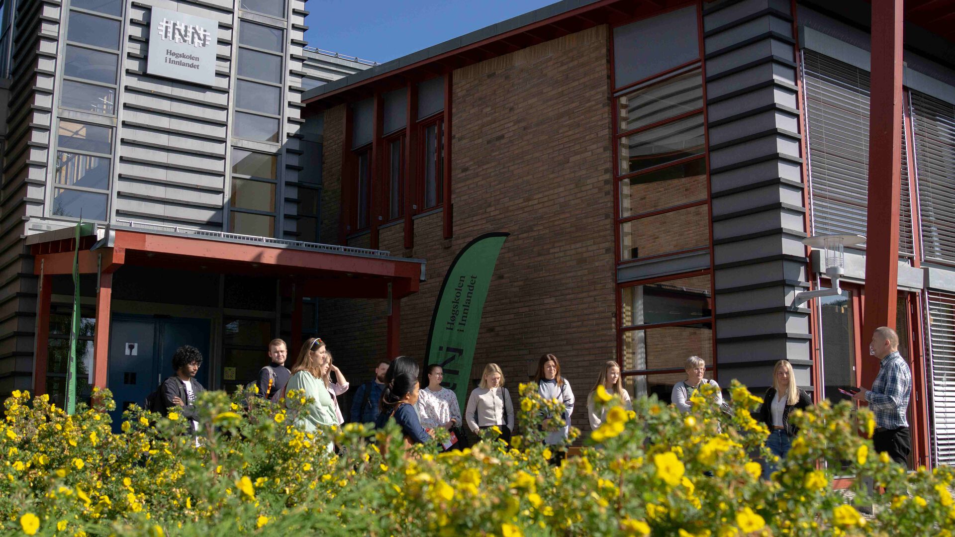 Grønne vekster med gule blomster i forgrunnen, høgskolen på Rena i bakgrunnen, studenter i mellom.