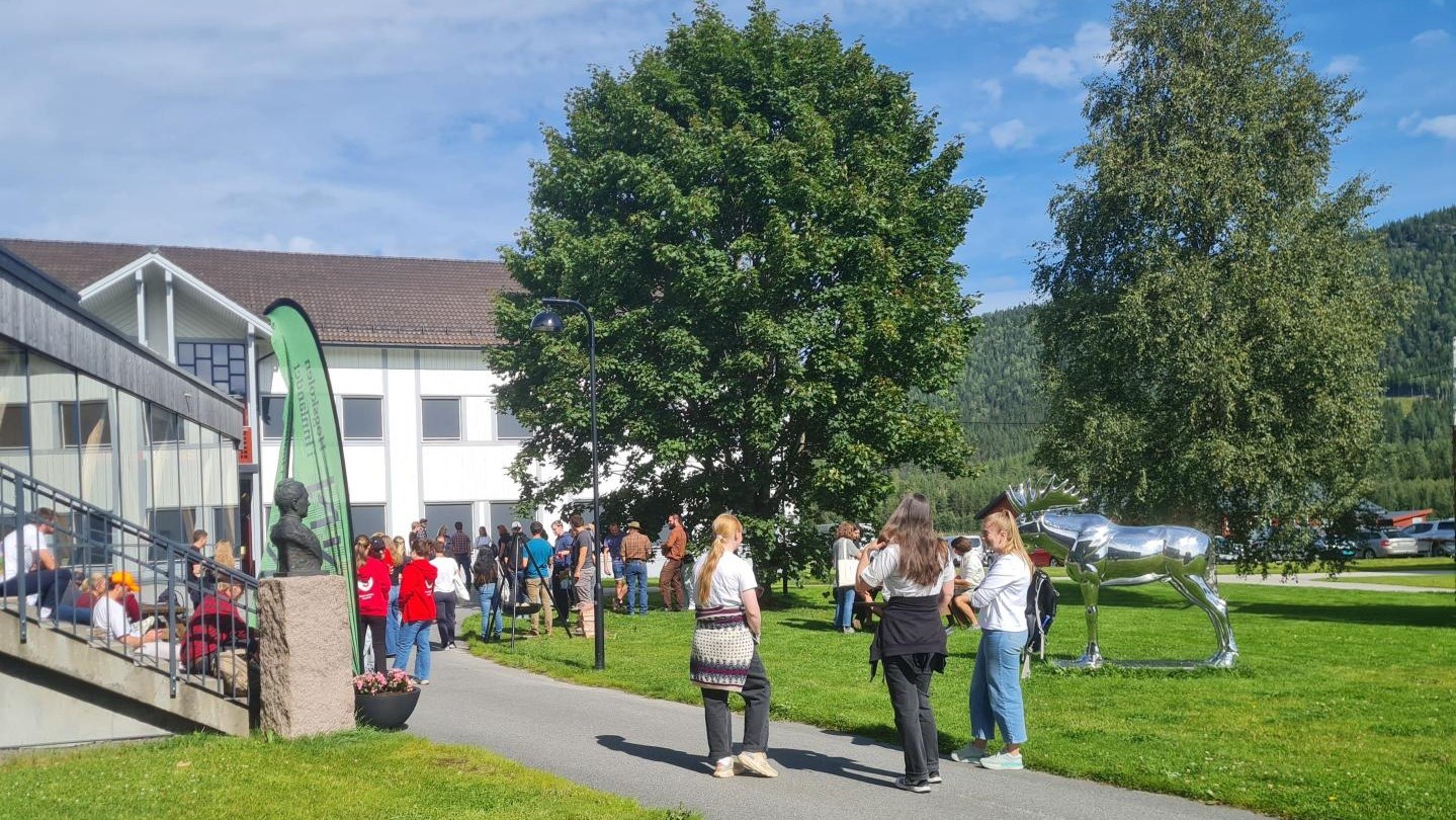 Utebilde fra Evenstad, blå himmel, grønt gress en sølvfarget elgstatue og studenter