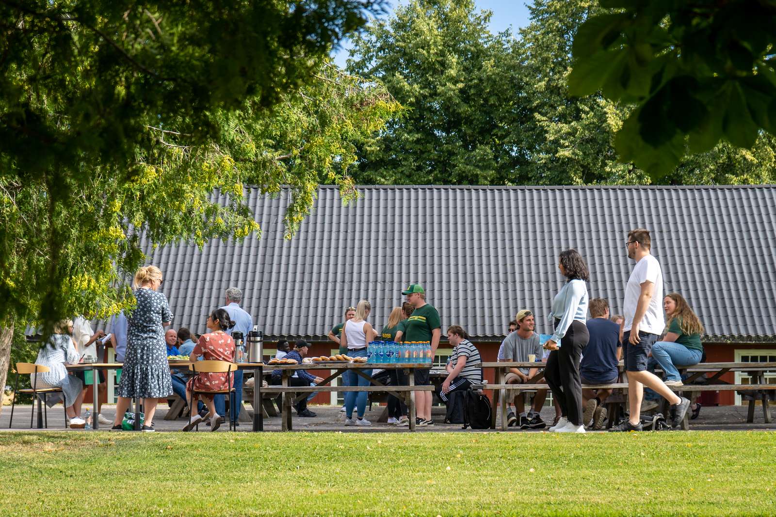 Bord i hage med trær