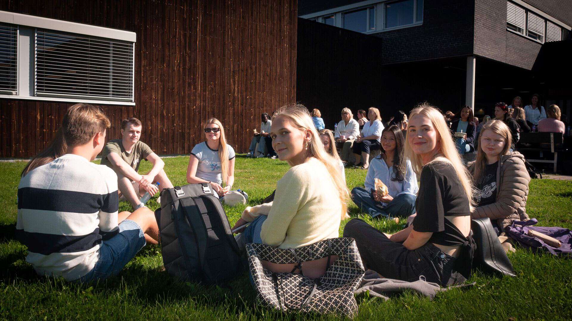 en gruppe studenter sitter på plena i solskinn ute på studiested Elverum i forbindelse med studiestart 2025.
