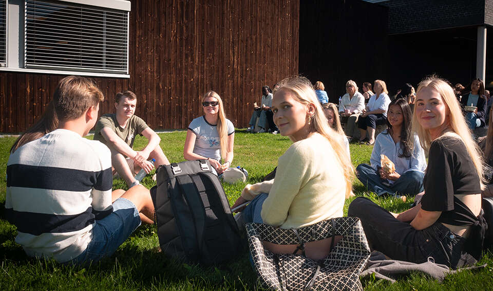 A crowd of students sitting together on a lawn