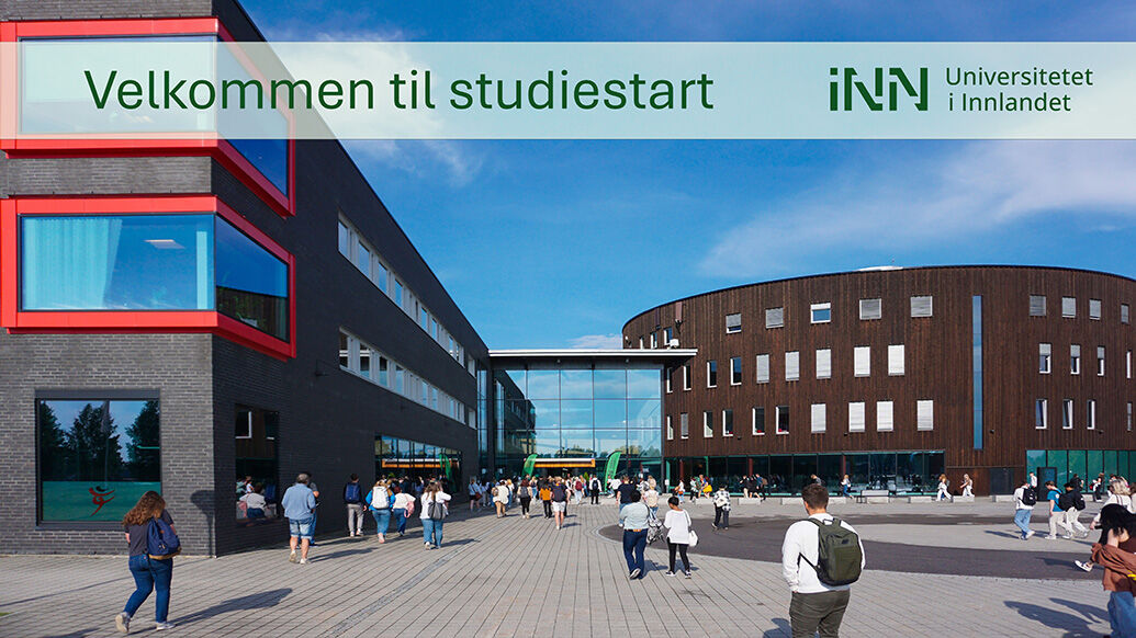 To jenter som ser på en mobil og står tett inntil hverandre. En tredje jente står på motsattside.