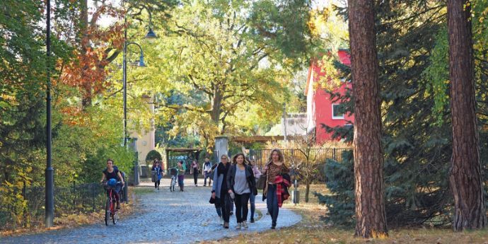 Studenter på vei fra høgskolen i skoglige omgivelser