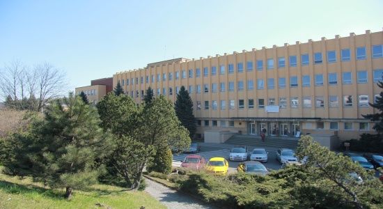 Faculty of Physical Education and Sports