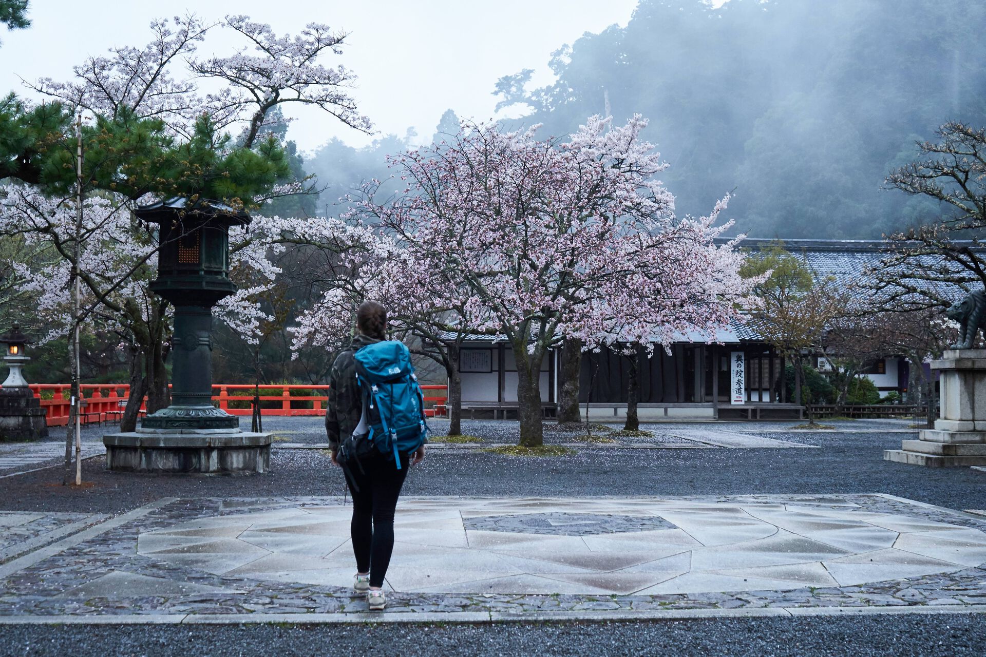Utvekslingsstudent utenfor et tempel med blomstrende kirsebærtrær i Japan