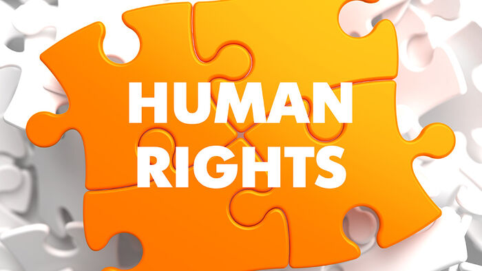 Puslespillbrikke med human rights skrevet over.