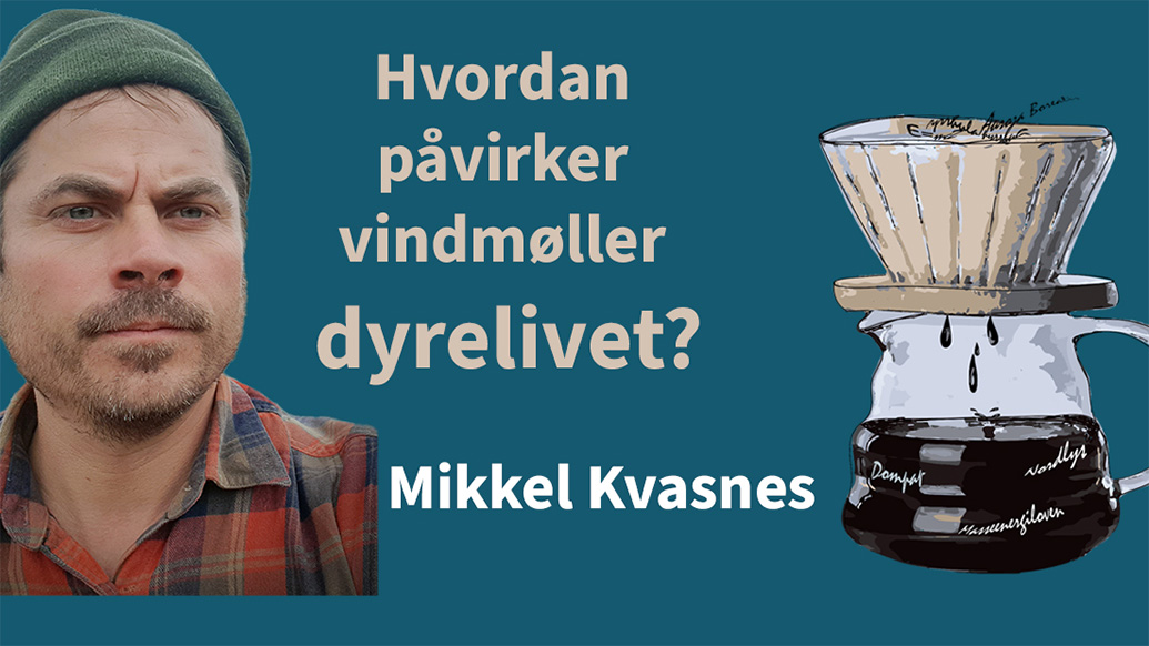 Logo Vettug viten og portrett kvasnes 