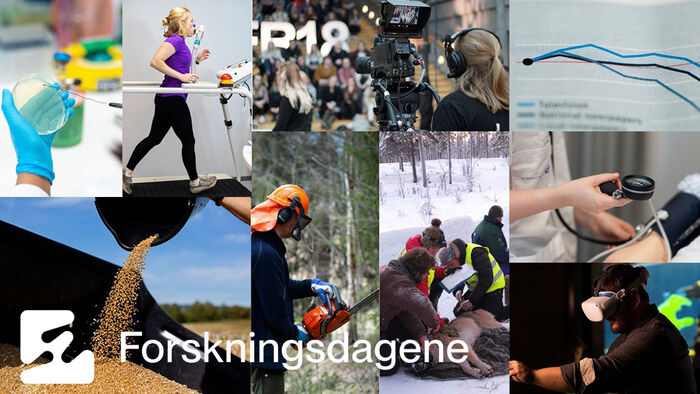 Colalge forskning ved HINN og logo for forskningsdagene