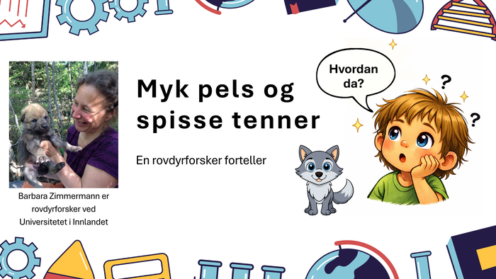 Plakat med bilde av Zimmermann 