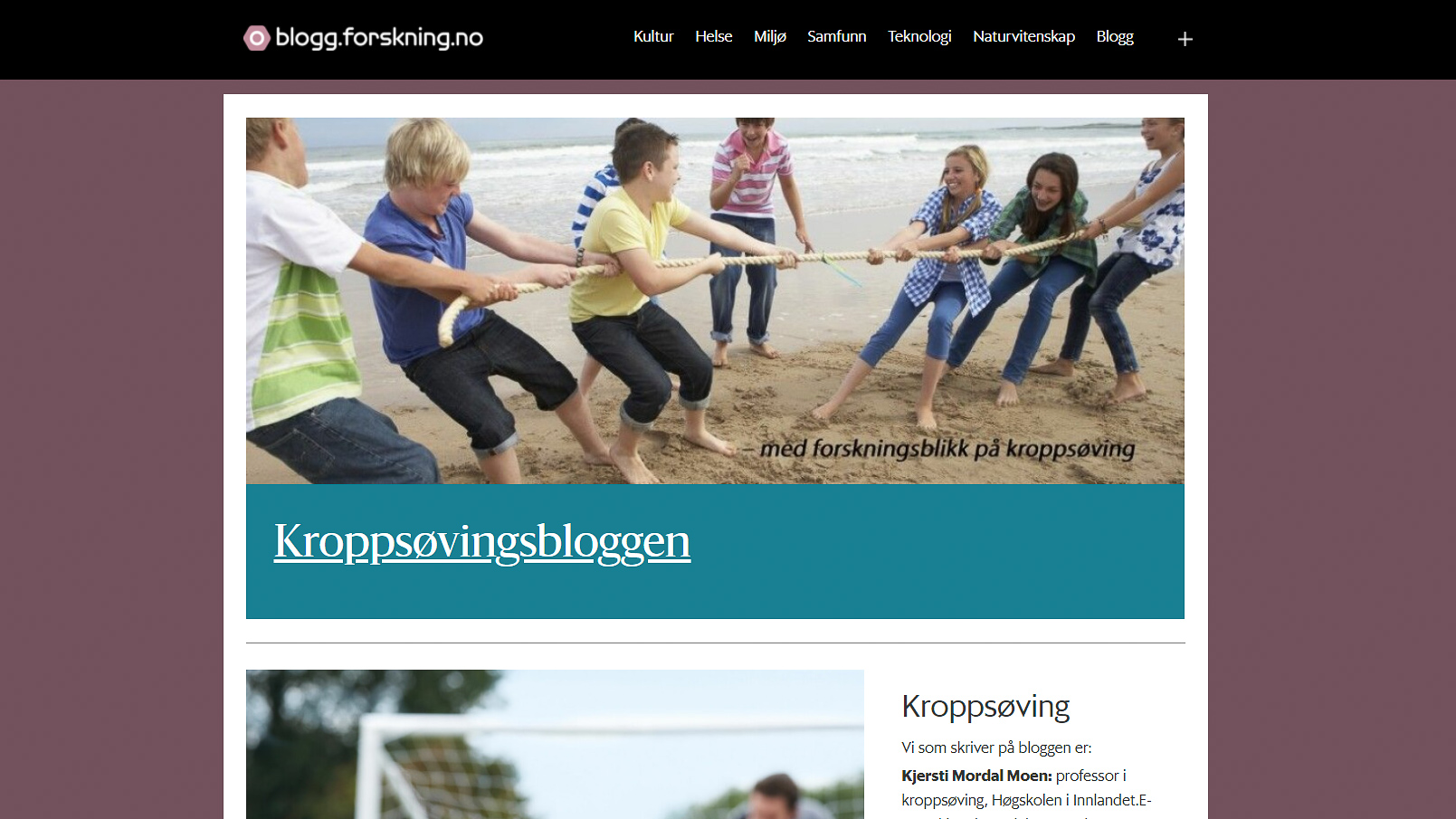 Skjermdump av forskerblogg på forskning.no