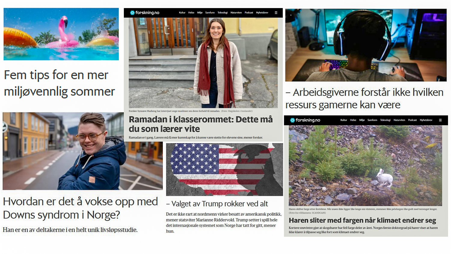 En kollasj av saker fra forskning.no i 2024