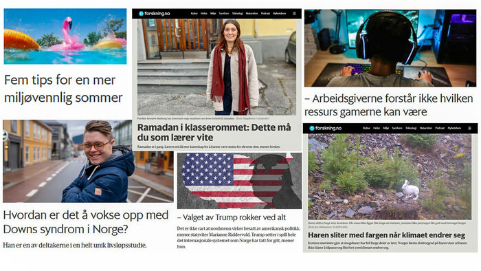 En kollasj av saker fra forskning.no i 2024