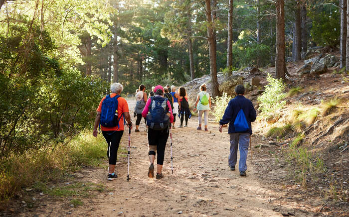 En gjeng med folk går tur i en skog