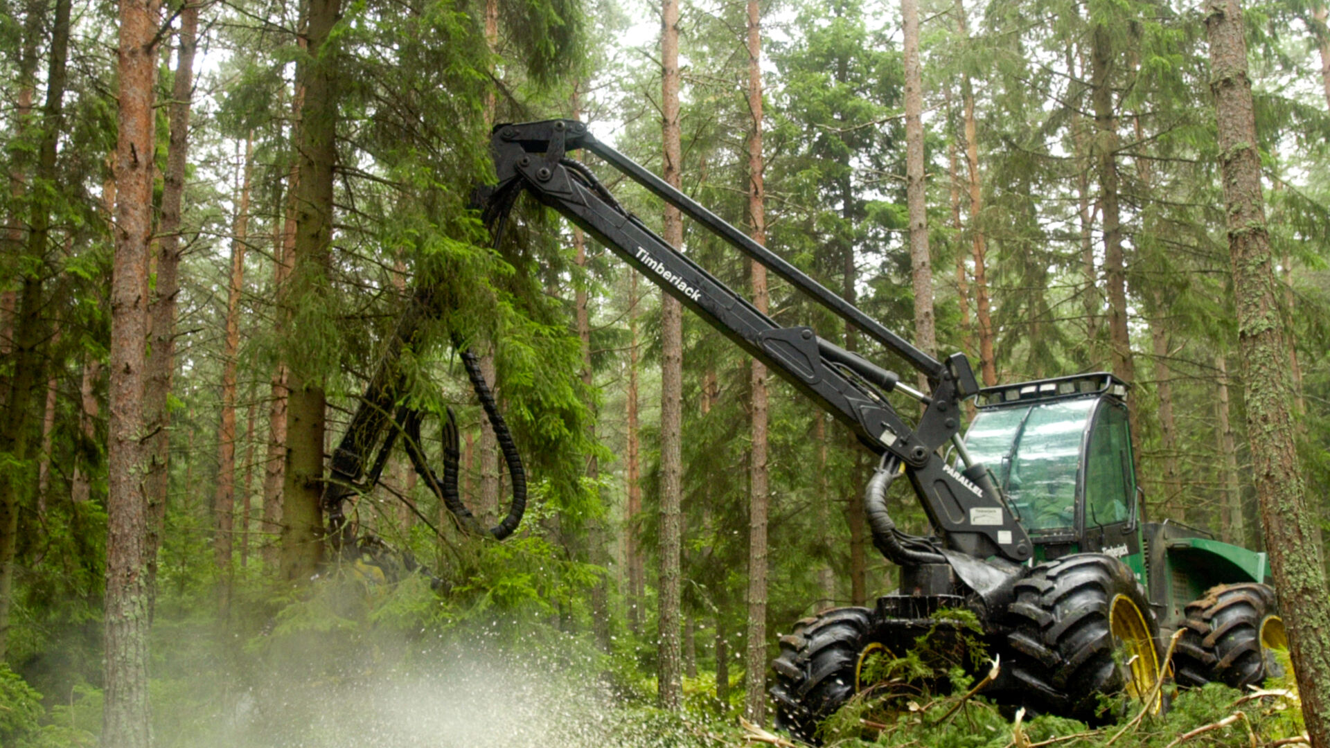 Bilde av skogsmaskin som kutter trær i skogsfelt