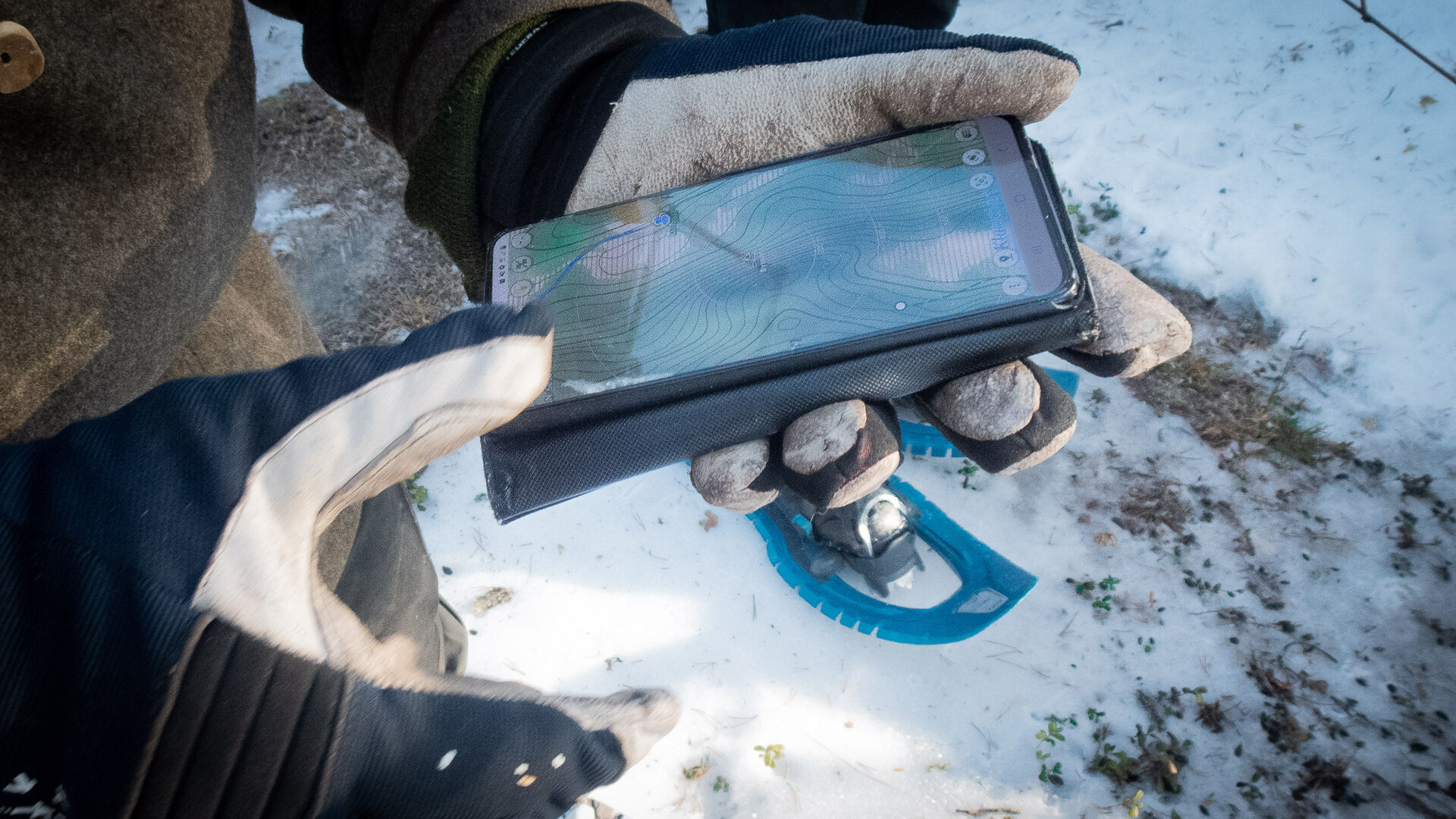 hand holding phone showing map of where the bear might be located.